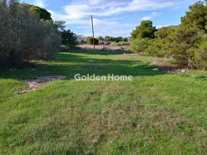 Αγροτεμάχιο 8308τ.μ. προς πώληση φωτογραφία 20