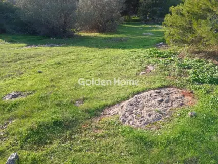 Αγροτεμάχιο 8308τ.μ. προς πώληση φωτογραφία 21