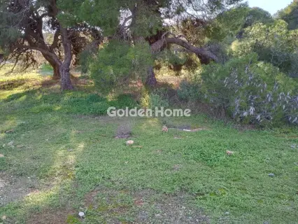 Αγροτεμάχιο 8308τ.μ. προς πώληση φωτογραφία 22