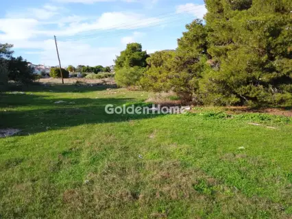 Αγροτεμάχιο 8308τ.μ. προς πώληση φωτογραφία 24