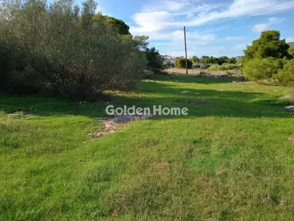 Αγροτεμάχιο 8308τ.μ. προς πώληση φωτογραφία 25