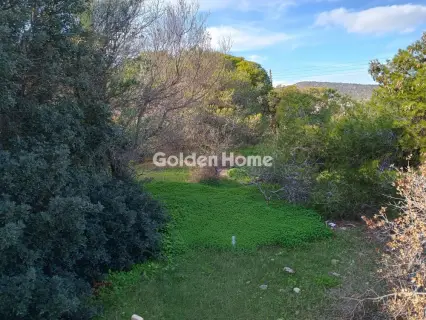 Αγροτεμάχιο 8308τ.μ. προς πώληση φωτογραφία 26