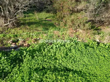 Αγροτεμάχιο 8308τ.μ. προς πώληση φωτογραφία 27