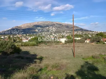 Αγροτεμάχιο 8308τ.μ. προς πώληση φωτογραφία 28
