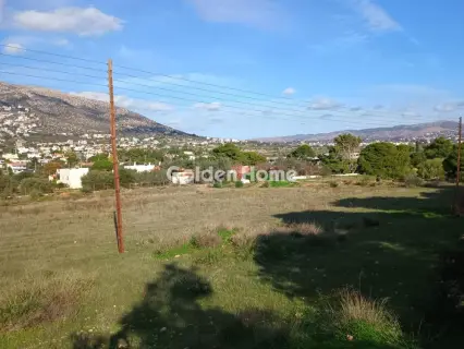 Αγροτεμάχιο 8308τ.μ. προς πώληση φωτογραφία 29