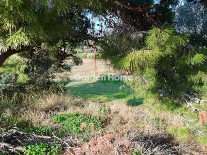 Αγροτεμάχιο 8308τ.μ. προς πώληση φωτογραφία 30