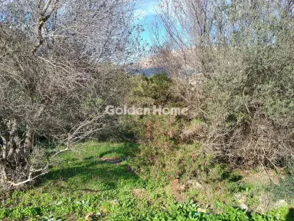 Αγροτεμάχιο 8308τ.μ. προς πώληση φωτογραφία 32