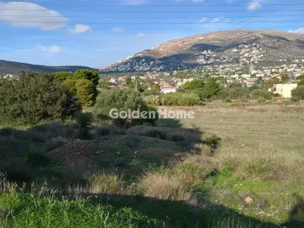 Αγροτεμάχιο 8308τ.μ. προς πώληση φωτογραφία 33