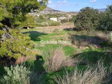 Αγροτεμάχιο 8308τ.μ. προς πώληση φωτογραφία 34