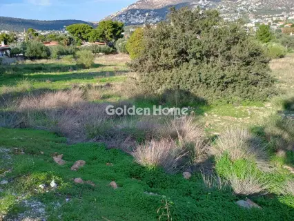 Αγροτεμάχιο 8308τ.μ. προς πώληση φωτογραφία 35