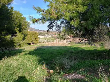 Αγροτεμάχιο 8308τ.μ. προς πώληση φωτογραφία 36