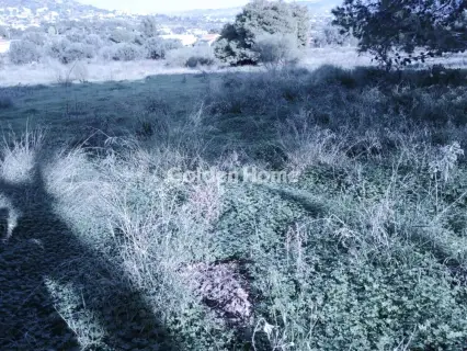 Αγροτεμάχιο 8308τ.μ. προς πώληση φωτογραφία 38