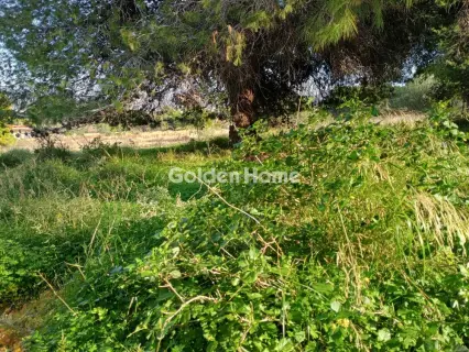 Αγροτεμάχιο 8308τ.μ. προς πώληση φωτογραφία 39