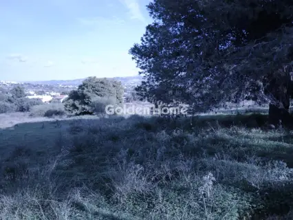 Αγροτεμάχιο 8308τ.μ. προς πώληση φωτογραφία 41