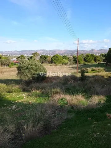 Αγροτεμάχιο 8308τ.μ. προς πώληση φωτογραφία 42
