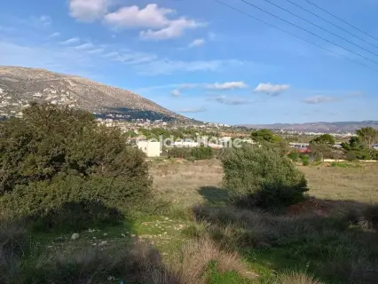 Αγροτεμάχιο 8308τ.μ. προς πώληση φωτογραφία 43