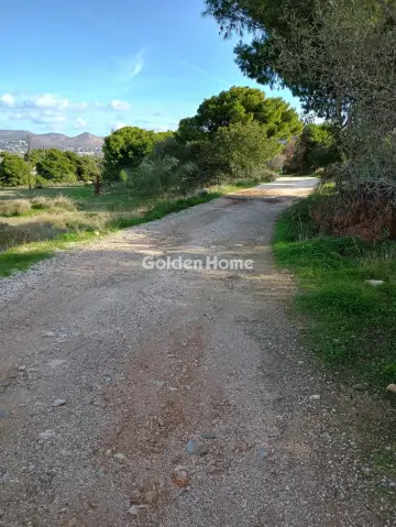 Αγροτεμάχιο 8308τ.μ. προς πώληση φωτογραφία 44