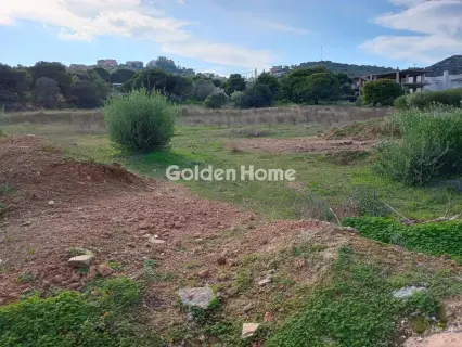 Αγροτεμάχιο 8308τ.μ. προς πώληση φωτογραφία 47