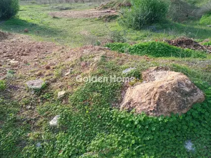 Αγροτεμάχιο 8308τ.μ. προς πώληση φωτογραφία 48