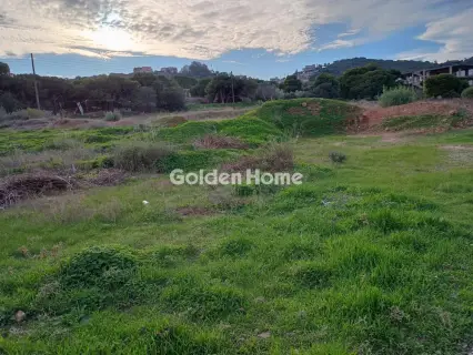 Αγροτεμάχιο 8308τ.μ. προς πώληση φωτογραφία 49