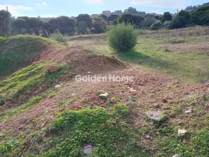 Αγροτεμάχιο 8308τ.μ. προς πώληση φωτογραφία 50