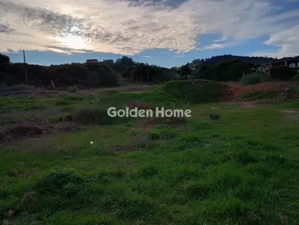 Αγροτεμάχιο 8308τ.μ. προς πώληση φωτογραφία 51