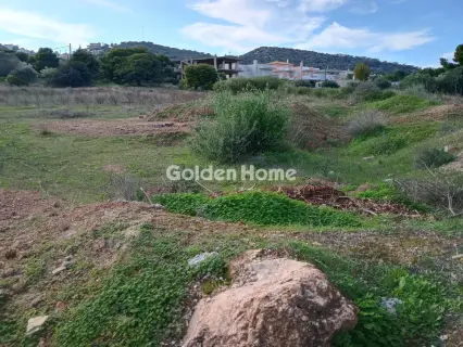 Αγροτεμάχιο 8308τ.μ. προς πώληση φωτογραφία 52