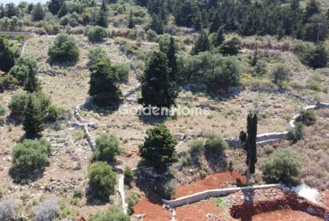 住宅 4830m<sup>2</sup> for sale photo 1
