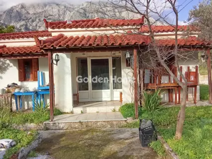 Residence complex 420m<sup>2</sup> for sale photo 3