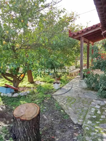 Συγκρ. Κατοικιών 420τ.μ. προς πώληση φωτογραφία 29