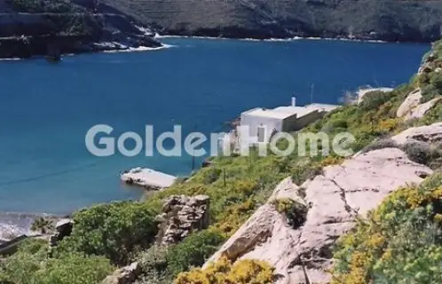 Οικιστικό 4000τ.μ. προς πώληση φωτογραφία 5303755