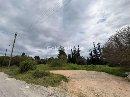 Οικιστικό 1300τ.μ. προς πώληση φωτογραφία 5312005