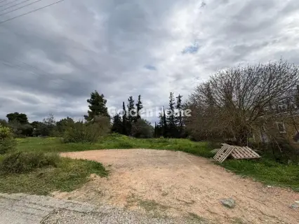 住宅 1300m<sup>2</sup> for sale photo 5312005