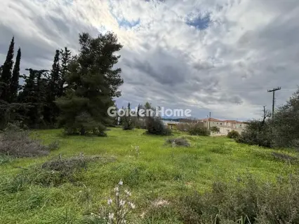 Οικιστικό 1300τ.μ. προς πώληση φωτογραφία 5312006