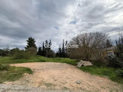 Οικιστικό 1300τ.μ. προς πώληση φωτογραφία 5312007