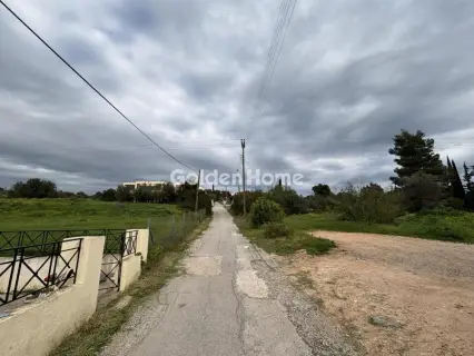 Οικιστικό 1300τ.μ. προς πώληση φωτογραφία 5312007