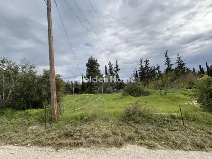 Οικιστικό 1300τ.μ. προς πώληση φωτογραφία 5312007