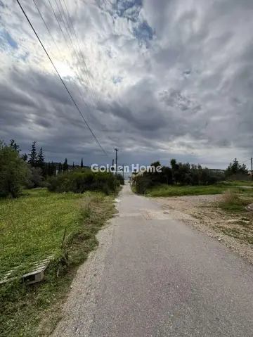 Οικιστικό 1300τ.μ. προς πώληση φωτογραφία 5312008
