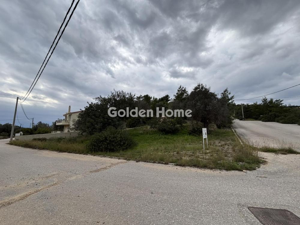 Οικιστικό 32600τ.μ. προς πώληση φωτογραφία προβολής