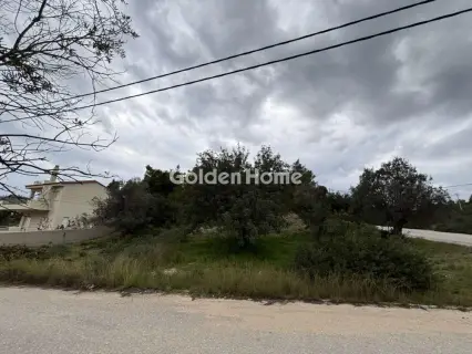 Οικιστικό 400τ.μ. προς πώληση φωτογραφία 5312003