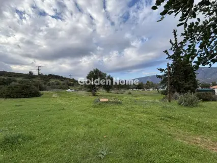 Οικιστικό 1000τ.μ. προς πώληση φωτογραφία 5311988