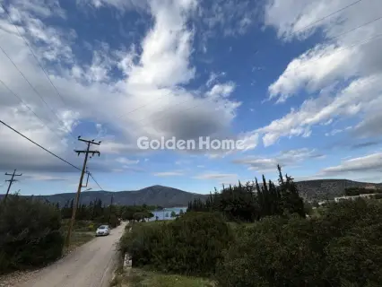 Οικιστικό 1000τ.μ. προς πώληση φωτογραφία 5311985