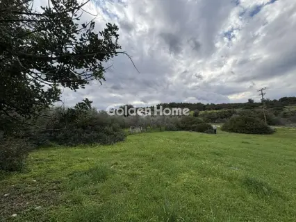 Οικιστικό 1000τ.μ. προς πώληση φωτογραφία 5311991