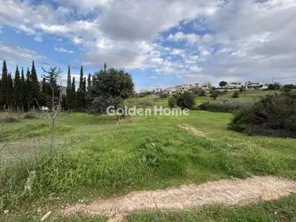 Οικιστικό 1000τ.μ. προς πώληση φωτογραφία 5311992