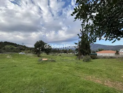 Οικιστικό 1000τ.μ. προς πώληση φωτογραφία 5311993