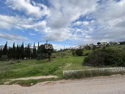 Οικιστικό 1000τ.μ. προς πώληση φωτογραφία 5311996