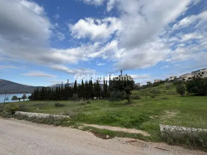 Οικιστικό 1000τ.μ. προς πώληση φωτογραφία 5311997