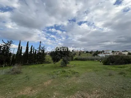 Οικιστικό 1000τ.μ. προς πώληση φωτογραφία 5311998