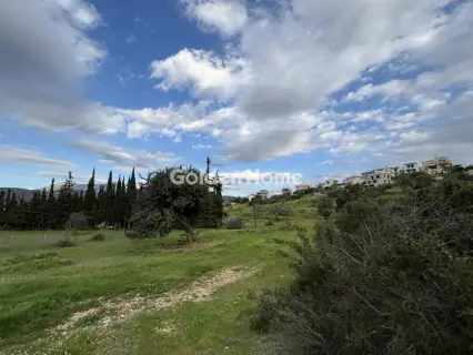 Οικιστικό 1000τ.μ. προς πώληση φωτογραφία 5311999