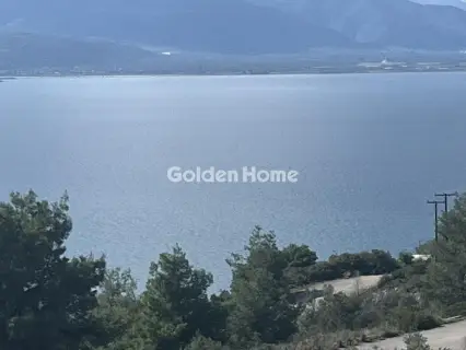 Οικιστικό 1056τ.μ. προς πώληση φωτογραφία 5296385